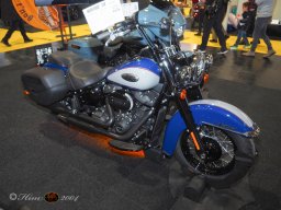 Vienna Drive 15.01.2026